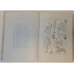 SZAFER Władysław - SKARBY PRZYRODY I ICH OCHRONA Wiadomości z ochrony przyrody dla przyrodników,...