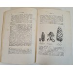 FIGUIER Ludwik - HISTORYA ROŚLIN. Dzieło ozdobione 415 wizerunkami z natury wykonanemi Tom II, wyd.1871.
