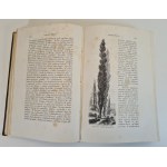 FIGUIER Ludwik - HISTORYA ROŚLIN. Dzieło ozdobione 415 wizerunkami z natury wykonanemi Tom II, wyd.1871.