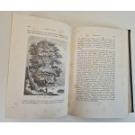 FIGUIER Ludwik - HISTORYA ROŚLIN. Dzieło ozdobione 415 wizerunkami z natury wykonanemi Tom II, wyd.1871.