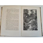 FIGUIER Ludwik - HISTORYA ROŚLIN. Dzieło ozdobione 415 wizerunkami z natury wykonanemi, Tom III, wyd.1871