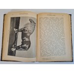 KULESHOV P. N. - HODOWLA KONI w języku rosyjskim, wyd.1896