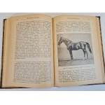 KULESHOV P. N. - HODOWLA KONI w języku rosyjskim, wyd.1896