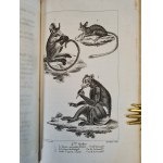 BUFFON - DZIEŁA KOMPLETNE OEUVRES COMPLETES, Historia naturalna, wyd.1929 [RYCINY] 26 TOMÓW