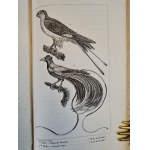 BUFFON - DZIEŁA KOMPLETNE OEUVRES COMPLETES, Historia naturalna, wyd.1929 [RYCINY] 26 TOMÓW