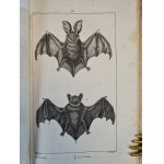 BUFFON - DZIEŁA KOMPLETNE OEUVRES COMPLETES, Historia naturalna, wyd.1929 [RYCINY] 26 TOMÓW