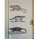 BUFFON - DZIEŁA KOMPLETNE OEUVRES COMPLETES, Historia naturalna, wyd.1929 [RYCINY] 26 TOMÓW