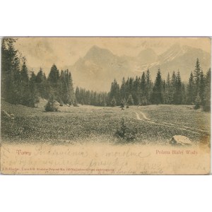 Tatry - Polana Białej Wody, 1900.