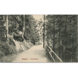 Krynica - Wojnaczka, ok. 1910.