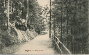 Krynica - Wojnaczka, ca. 1910.