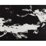 Bronisław Schlabs (1920 Poznań - 2009 Poznań), Fotogram 39/57, 1957