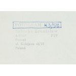 Bronisław Schlabs (1920 Poznań - 2009 Poznań), Fotogram K3/58, 1958