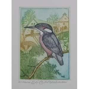 Marian Paweł Bocianowski, Kingfisher
