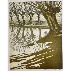 Jerzy Nowak, Willows , 2006