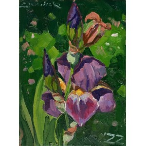 Slawomir J. Siciński, Iris, 2022