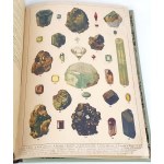 WERMIŃSKI - HISTORYA NATURALNA W OBRAZACH Botanika i mineralogia 269 kolorowanych obrazków 1893r. FOLIO