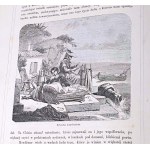 KRASZEWSKI- CARDS FROM THE JOURNEY 1858-1864 Rev. II