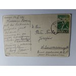 POCZTÓWKA KUDOWA ZDRÓJ STAW W PARKU ZDROJOWYM, ZNACZEK