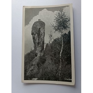 POHLEDNICE DOGWOOD ROCK HERCULES MACE