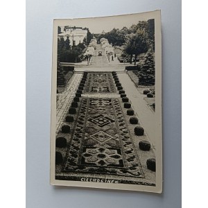 PHOTO CIECHOCINEK FLOWER CARPET