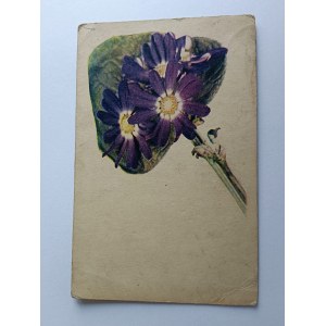 ART POSTCARD FLOWERS