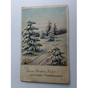 CHRISTMAS POSTCARD NEW YEAR WINTER