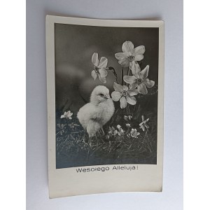 CARTE POSTALE DE NOËL FLEURS DE POULET