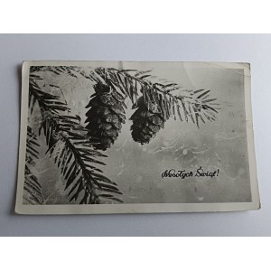 CARTE POSTALE DE NOËL ARBRE DE NOËL POMMES DE PIN