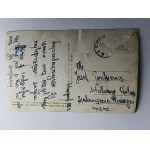CARTE POSTALE DE NOËL ARBRE DE NOËL POMMES DE PIN