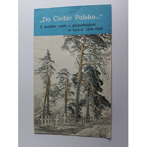 BROCHURE POUR VOUS LA POLOGNE DE L'HISTOIRE DE LA LUTTE POUR L'INDÉPENDANCE DANS LES ANNÉES 1908-1918, JOZEF PIŁSUDSKI