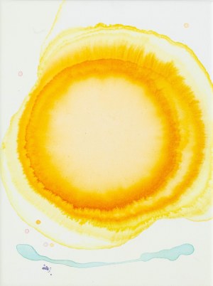 Barbara Bańda (ur. 1980), Światła domostw, 2017