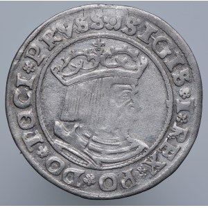 Sigismund I. der Alte, Pfennig 1529 Toruń