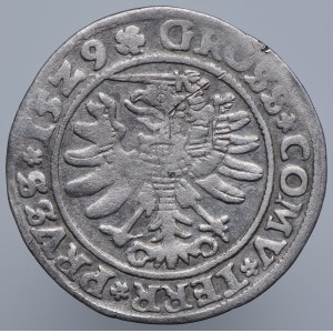 Sigismund I. der Alte, Pfennig 1529 Toruń