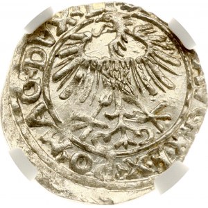 Lithuania Polgrosz 1556 Vilnius (R) NGC MS 65