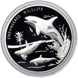 Congo, 10 Francs 2011