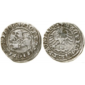 Polen, halber Pfennig, 1513, Vilnius