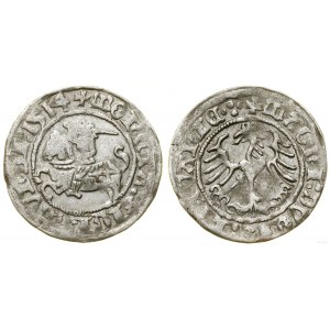 Polsko, půlpenny, 1514, Vilnius