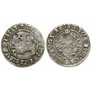 Poland, half-penny, 1515, Vilnius