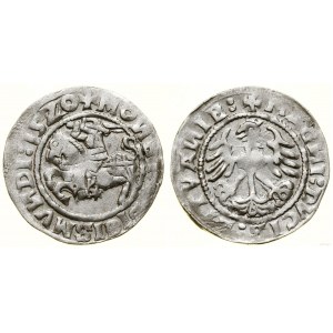 Polska, półgrosz, 1520, Wilno