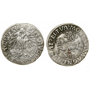 Poland, half-penny, 1548, Vilnius