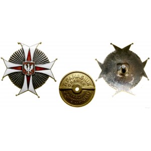 Poland, 22nd Podkarpackie Lancers Regiment - officer's commemorative badge (COPY)