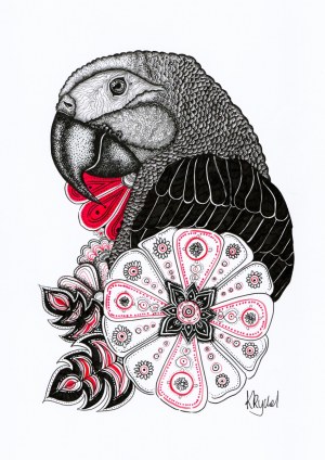 Karolina RYCHEL (ur. 2000), Papuga Żako, 2018
