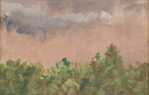 Michał Gorstkin-Wywiórski (1861 Warszawa - 1926 Berlin), Zielone zarośla pod szarym niebiem
