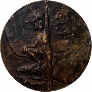 United States Buffalo NY MDCDI Pan American Expo Medal
