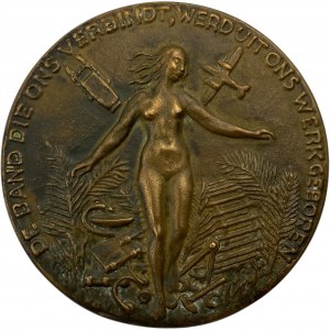 Netherlands 1938 Aviation Expedition in New Guinea Large Medal