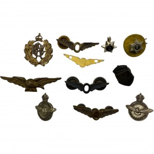 WWII RCAF Air Crew Europe Star Medal Group - 419 Moose Squadron
