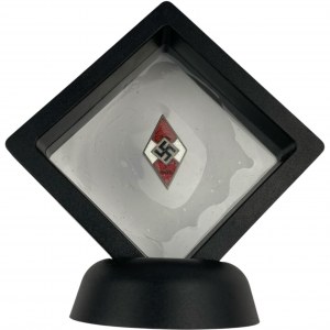 German Third Riech HJ Pin in Display