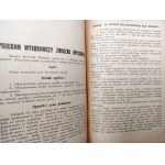 Program wykonawczy Związku ARJA - Rzeczpospolita z Królem - maj 1926 [ Związek Aryjski]