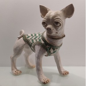 Studio IDA - Chihuahua