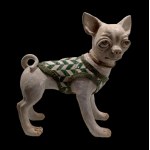 Studio IDA - Chihuahua
